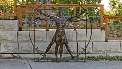 a reproduction of da Vinci's Vitruvian Man