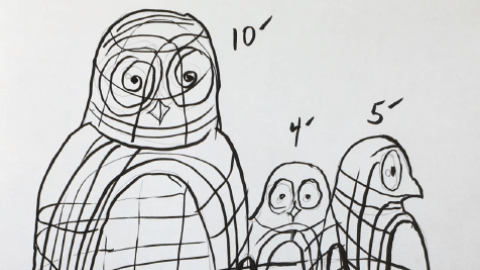 artist sketch of a 10' exhibit of a family of Barred Owls