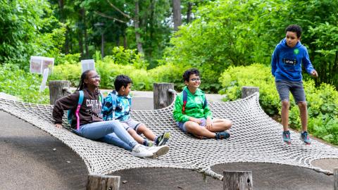 kids play on a suspended cargo net