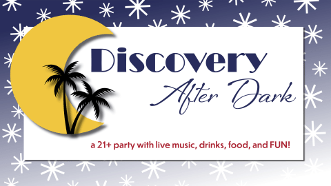 graphic with crescent moon and palm tree that says "Discovery After Dark"