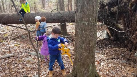 Five kids are in the forest. One is sitting on a fallen tree and another is holding a measuring tape device up to a tree
