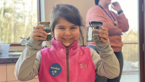 ellie knott snow globes