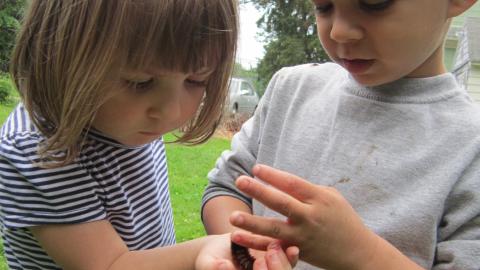 a young boy gives a big, fuzzy caterpillar to a young girl