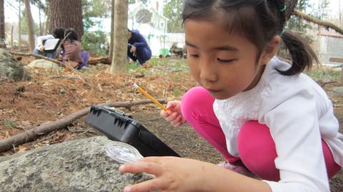 A young girl explores textures outdoors