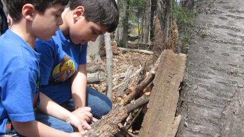 Two boys in blue shirts pile sticks together