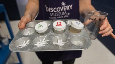 an instructor holds a tray of materials for a science experiment