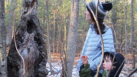 A woman and a boy in winter coats are in a forest looking at a tree trunk. A mix of snow and leaves are on the ground.