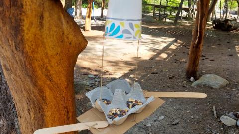 a handmade bird feeder consisting of cardboard, popsicle sticks, part of an egg carton, a paper cup and string