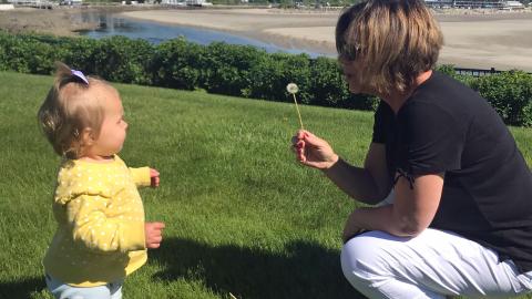 A grandmother squats down, holding a dandelion in front of her toddler granddaughter