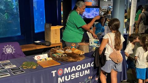 tomaquag museum