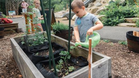 working in the garden