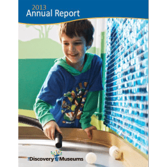 report cover that says "2013 Annual Report"