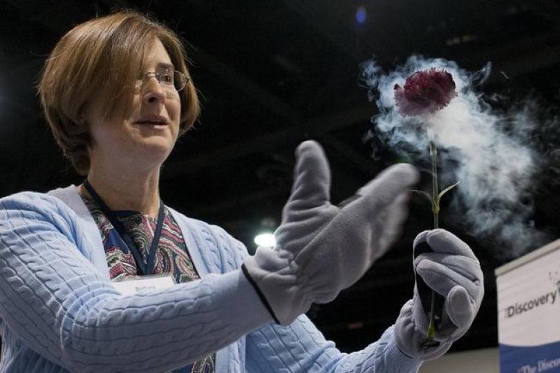 a woman wearing oven mitts holds in one hand a rose that has been frozen in liquid nitrogen and is giving off gasses