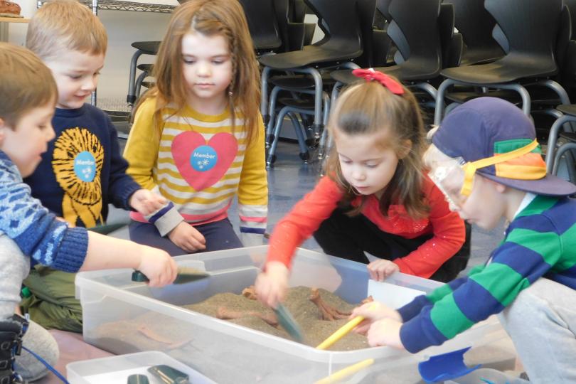 children dig with tools in a tabletop sand box