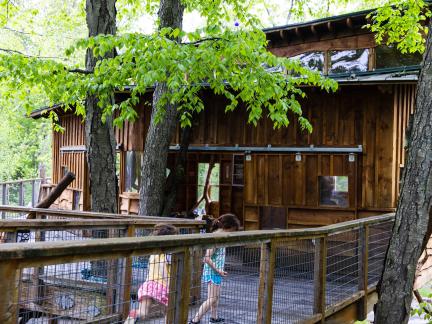 two young girls hurry along a walkway that leads into an elevated treehouse