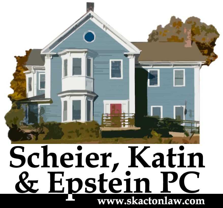 Scheier Katin & Epstein, P.C. logo