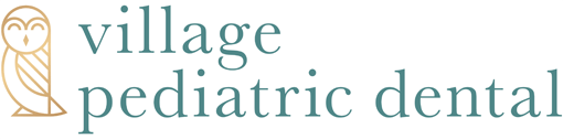 Village Pediatric Dental logo