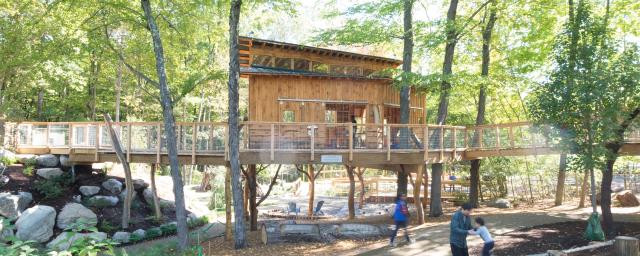 a parent and child play on a climbing net in on the ground in front of a beautiful elevated treehouse